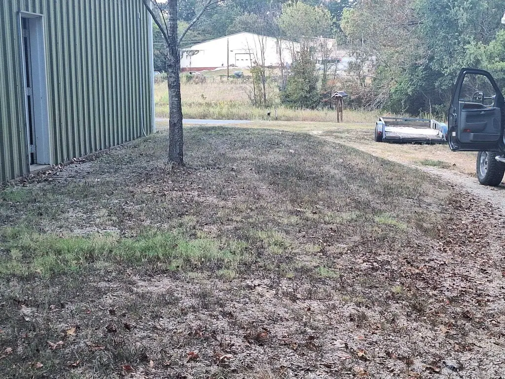 Picture 6