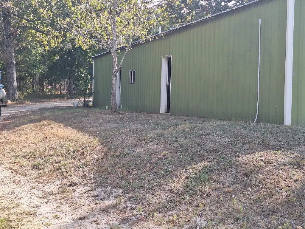 Picture 5
