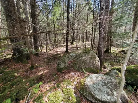 Private Hunting Land