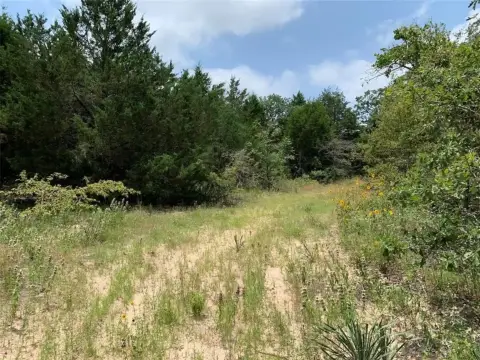 East Texas Land Opportunity