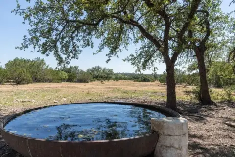 West Texas Hunting Ranch
