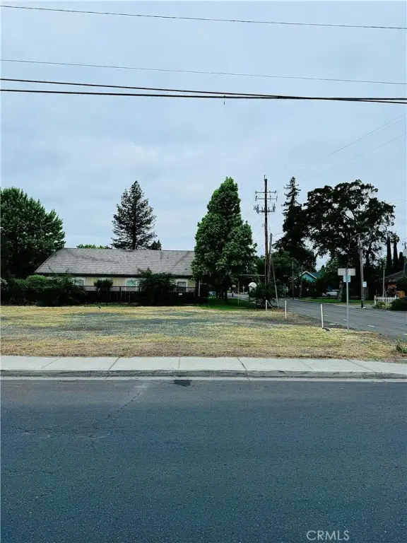 Picture 5