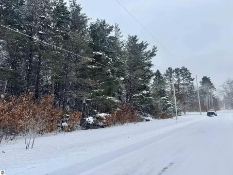 Wooded Lot Near Cadillac, MI