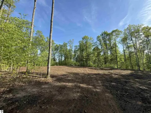 Land Parcel in Brightland Woods