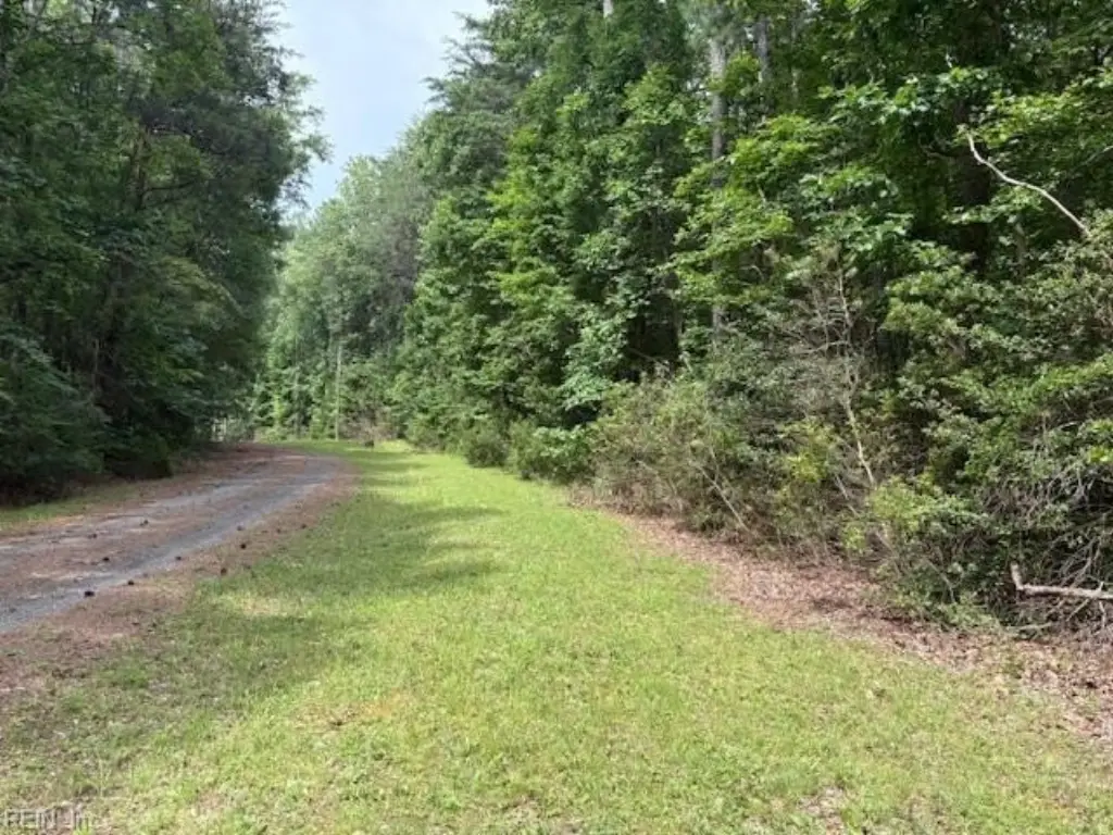 Picture 7