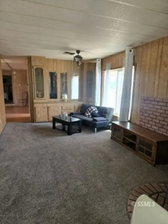 Picture 17