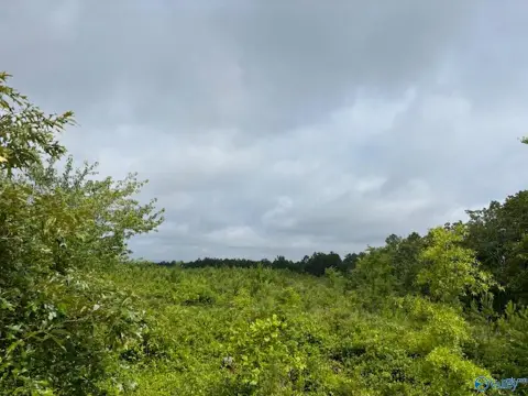 30 Acres in Gadsden, Alabama