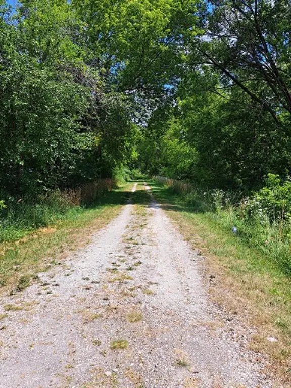 Picture 29