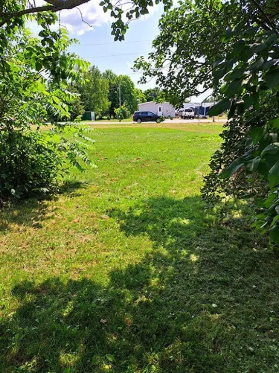 Picture 25