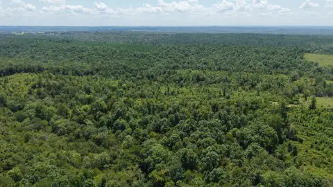 Recreational Land Near Gillham, Arkansas