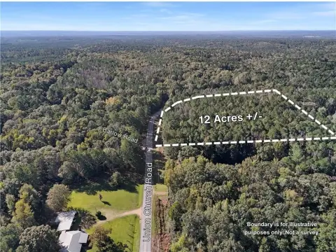 Wooded Hunting Land