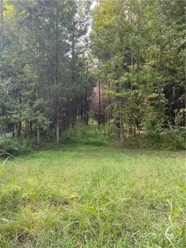 9 Acre Clover Land Tract