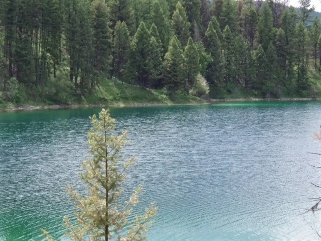 Picture 41
