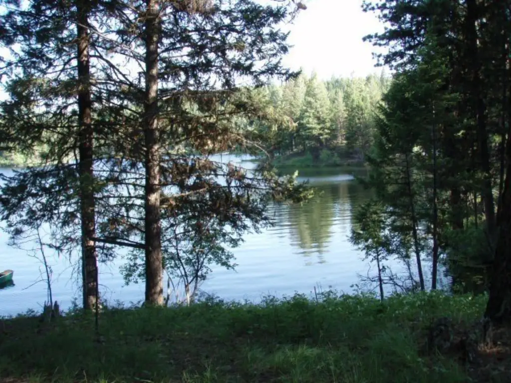Picture 36