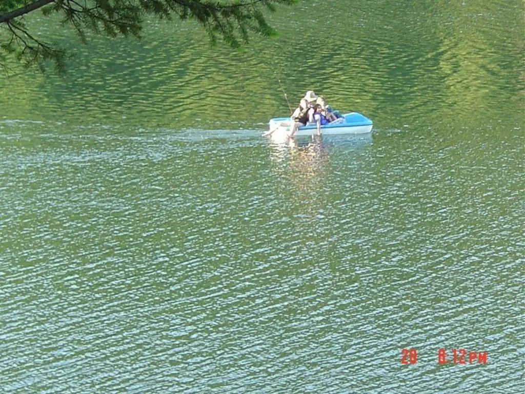 Picture 58