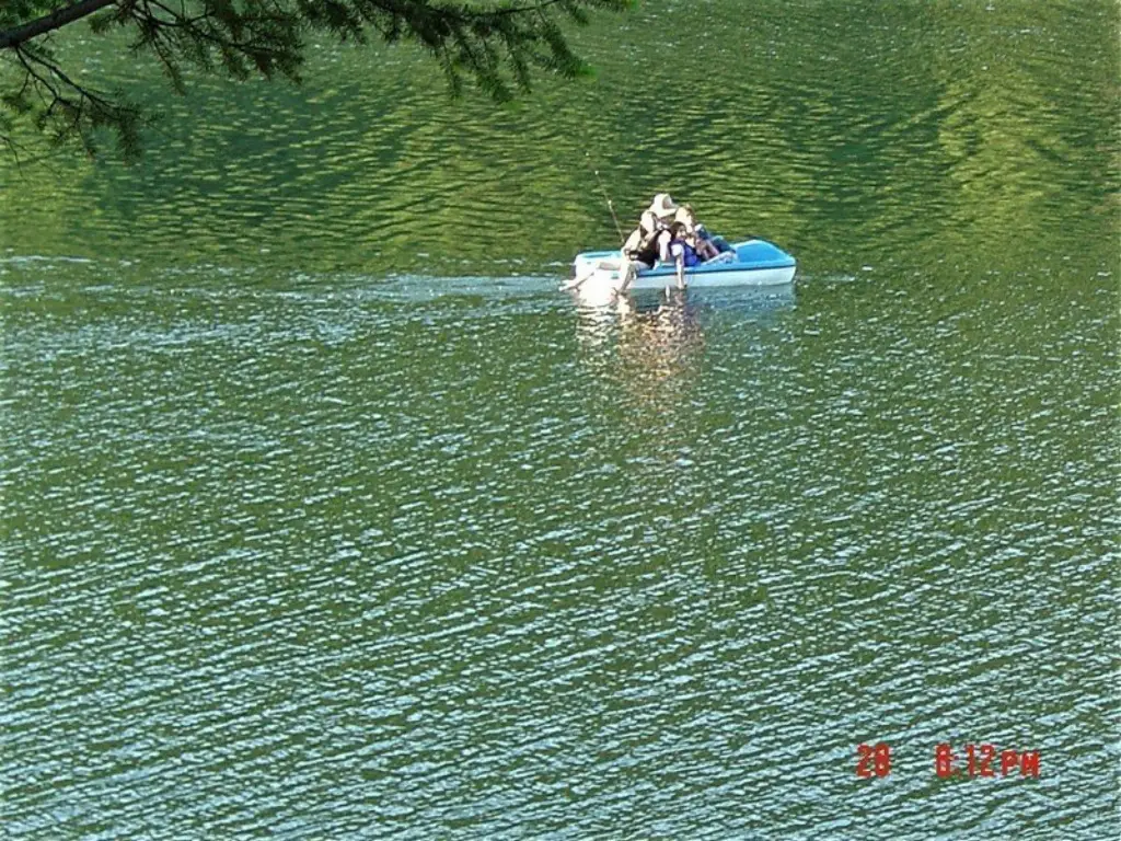 Picture 13