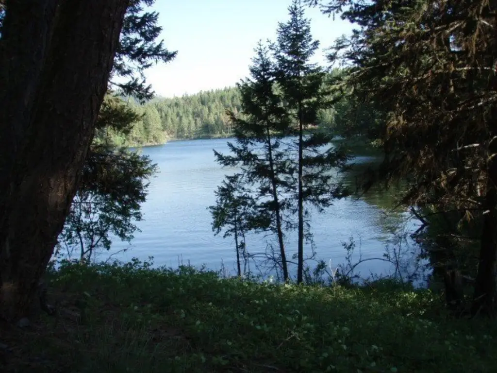 Picture 50