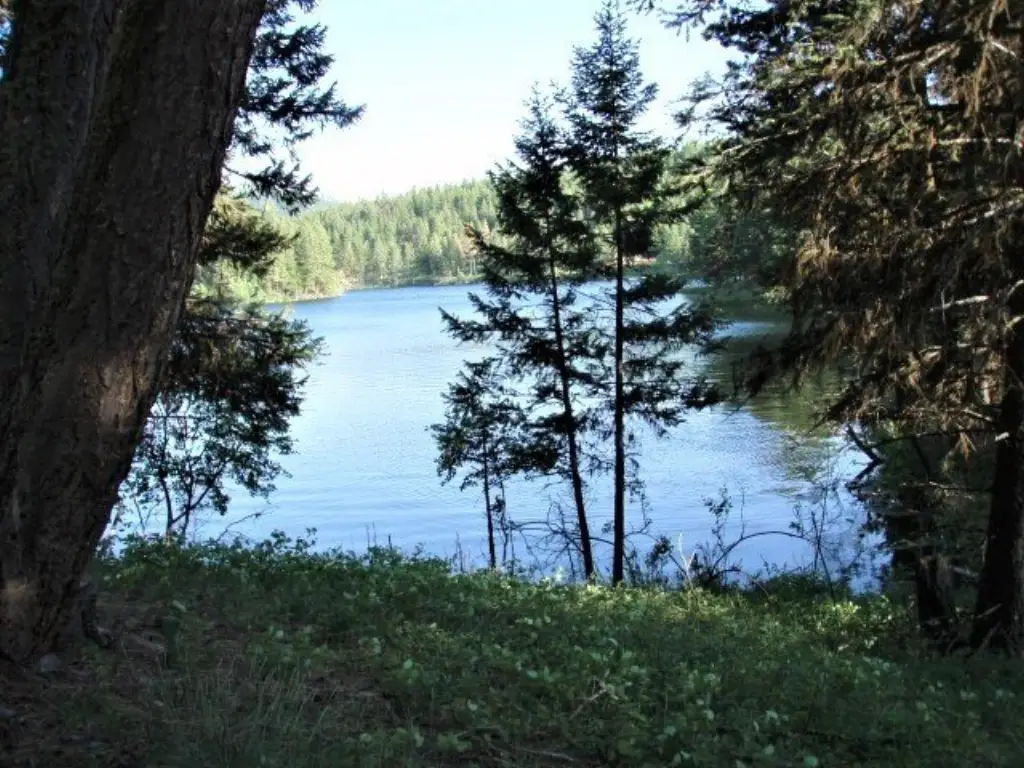 Picture 21