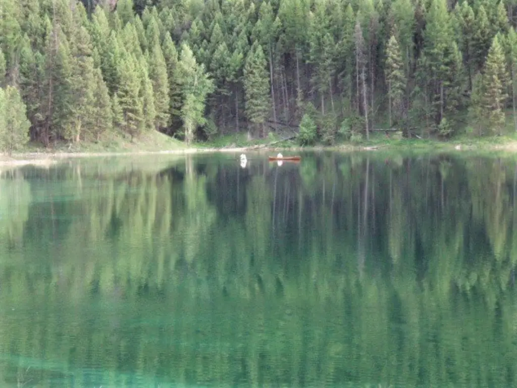 Picture 7