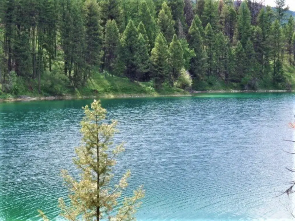 Picture 16