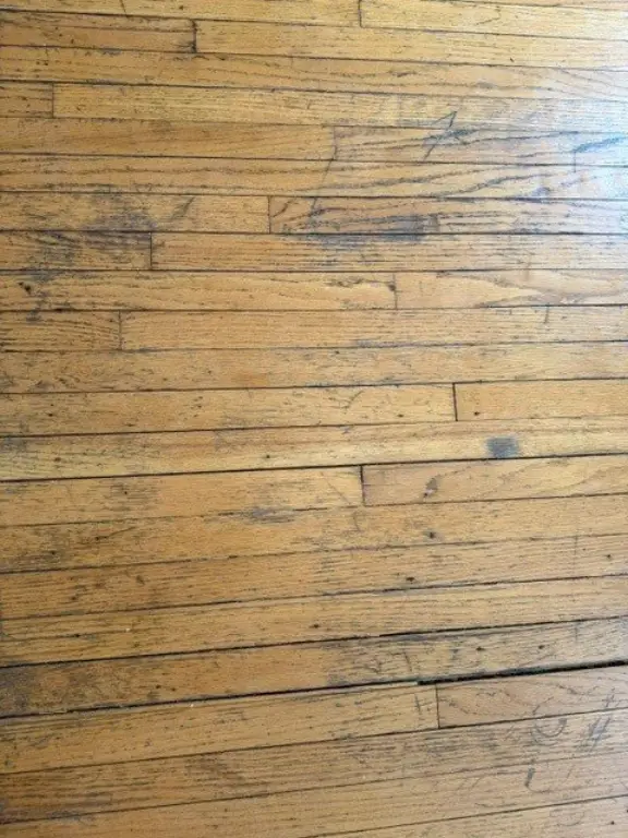 Picture 21