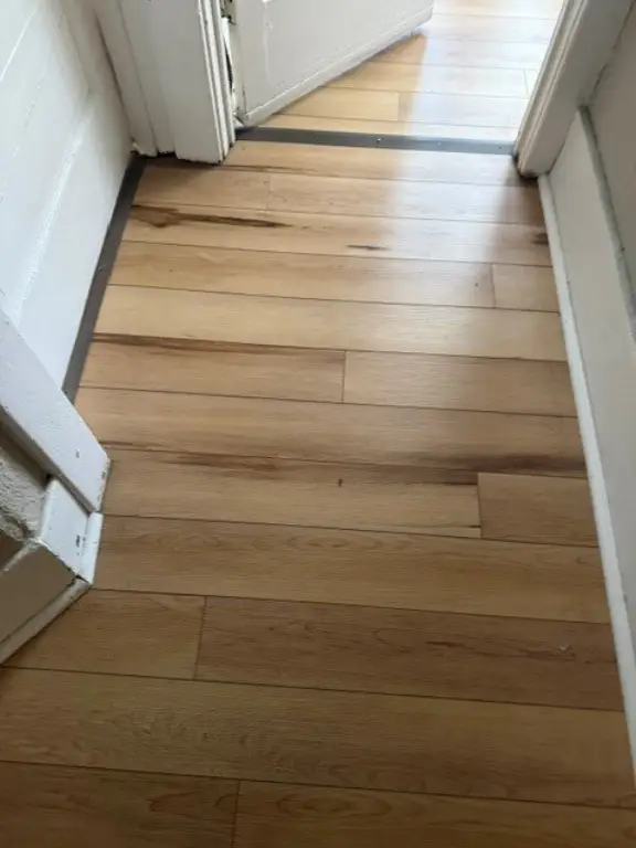 Picture 15