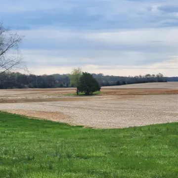 Franklin, KY Mini-Farm Opportunity