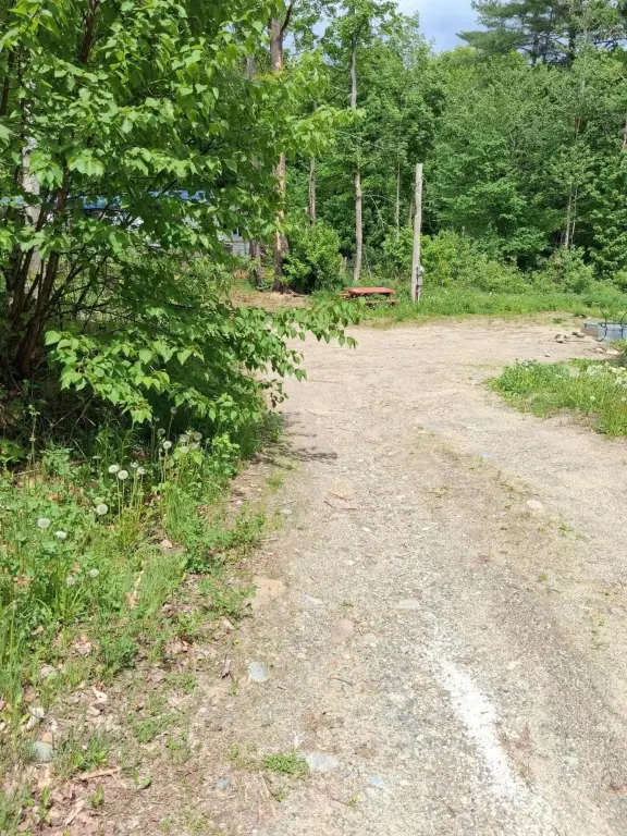Picture 3