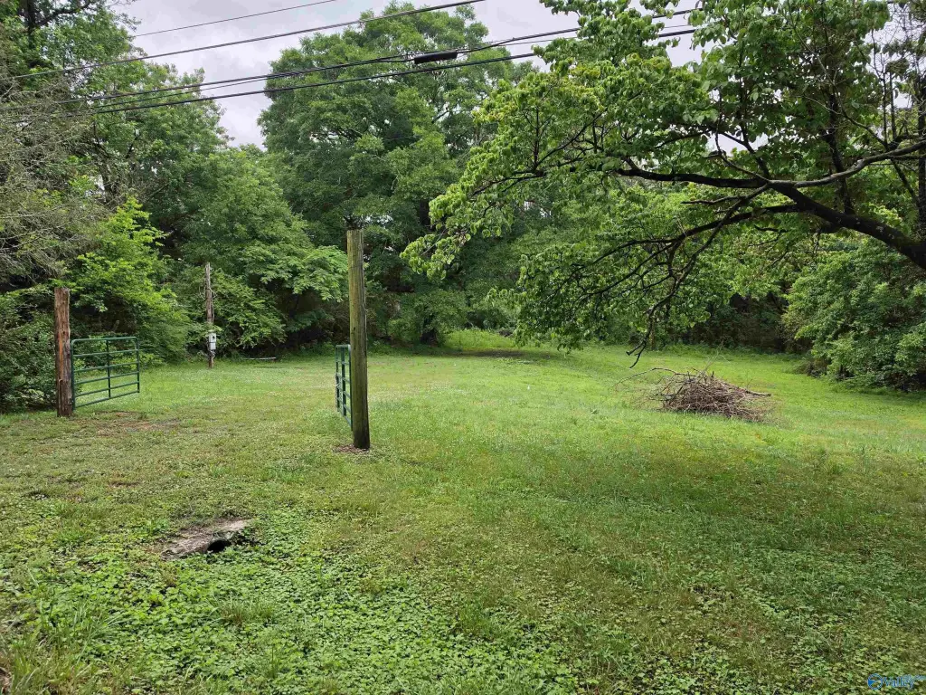 Picture 6