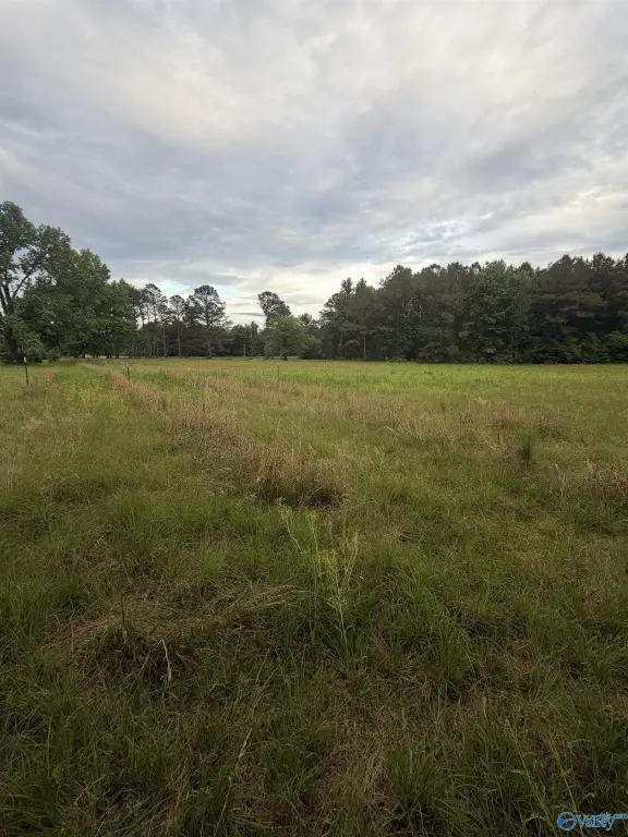 Picture 13