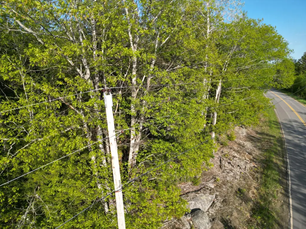 Picture 15