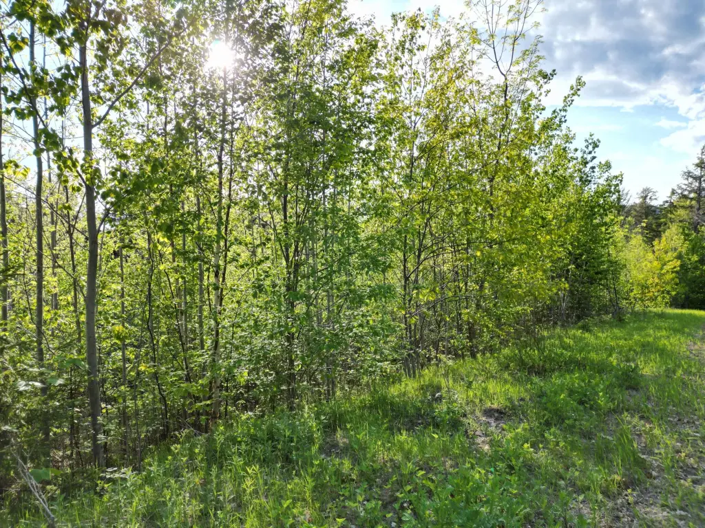 Picture 23