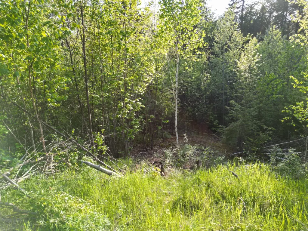 Picture 3
