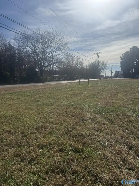 Picture 5