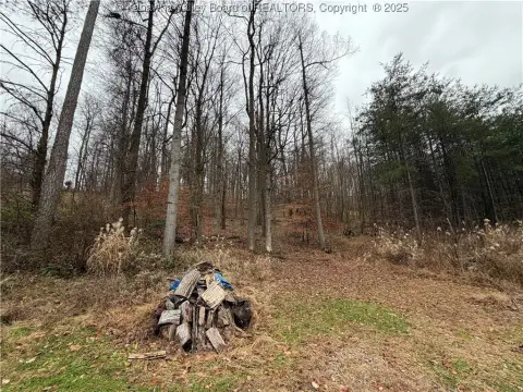 Winfield Land in Holly Creek
