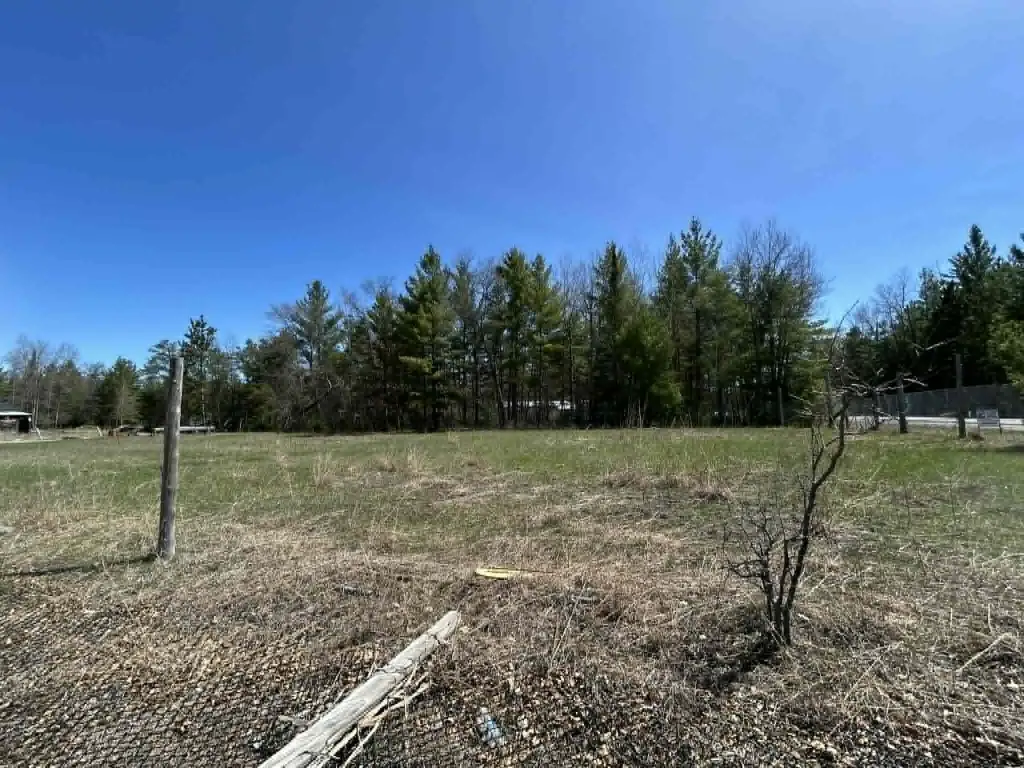 Picture 19
