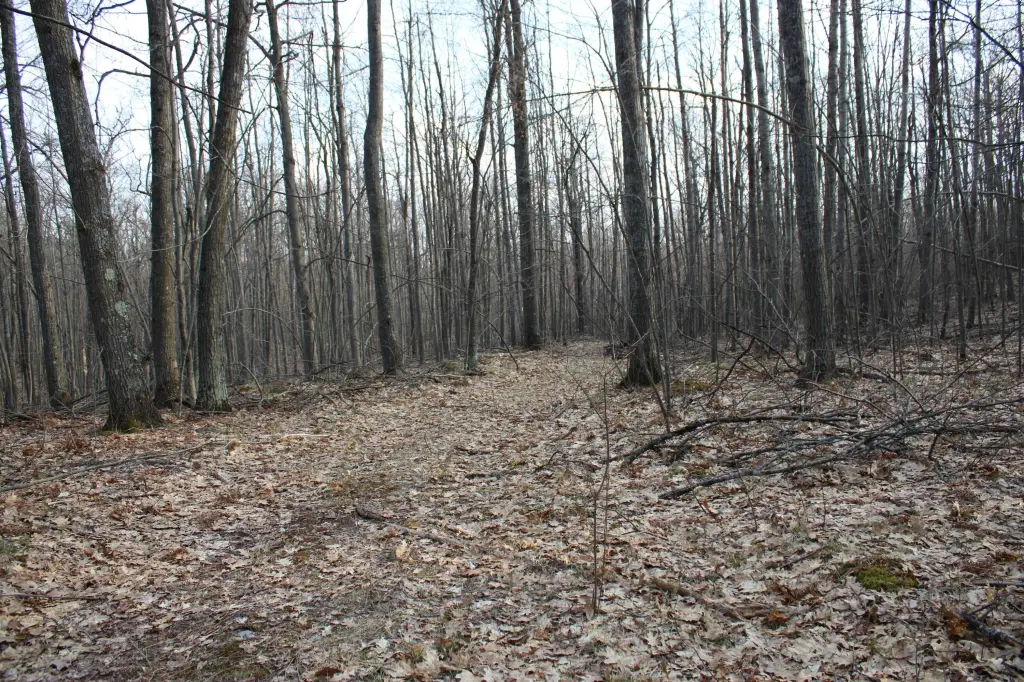 Picture 14