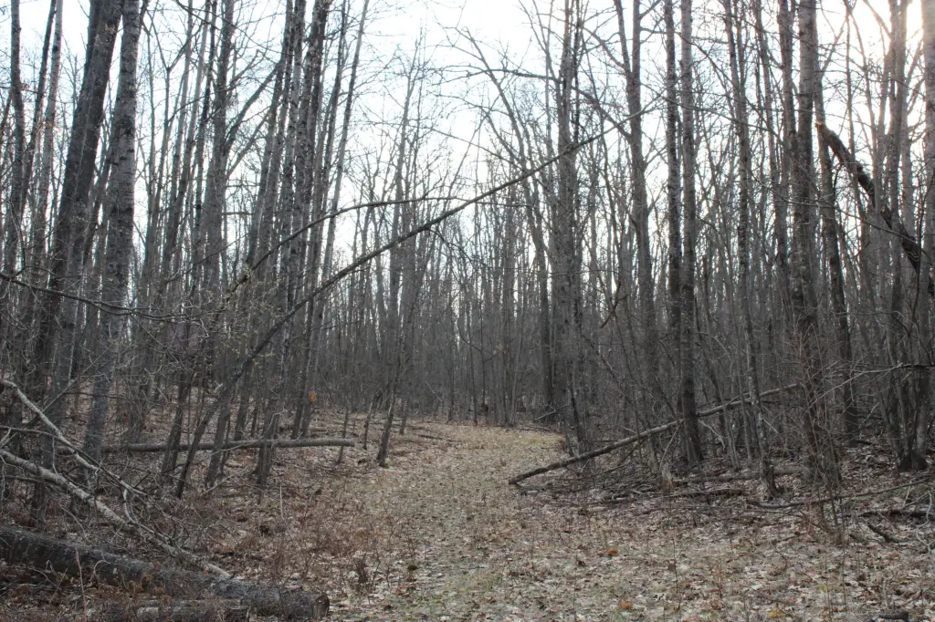 Picture 15