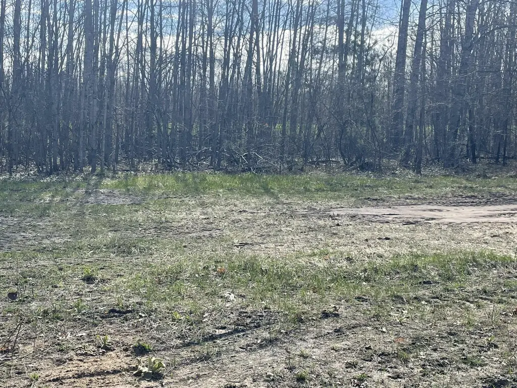 Picture 3
