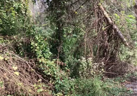 Undeveloped Land Near Shell Plant