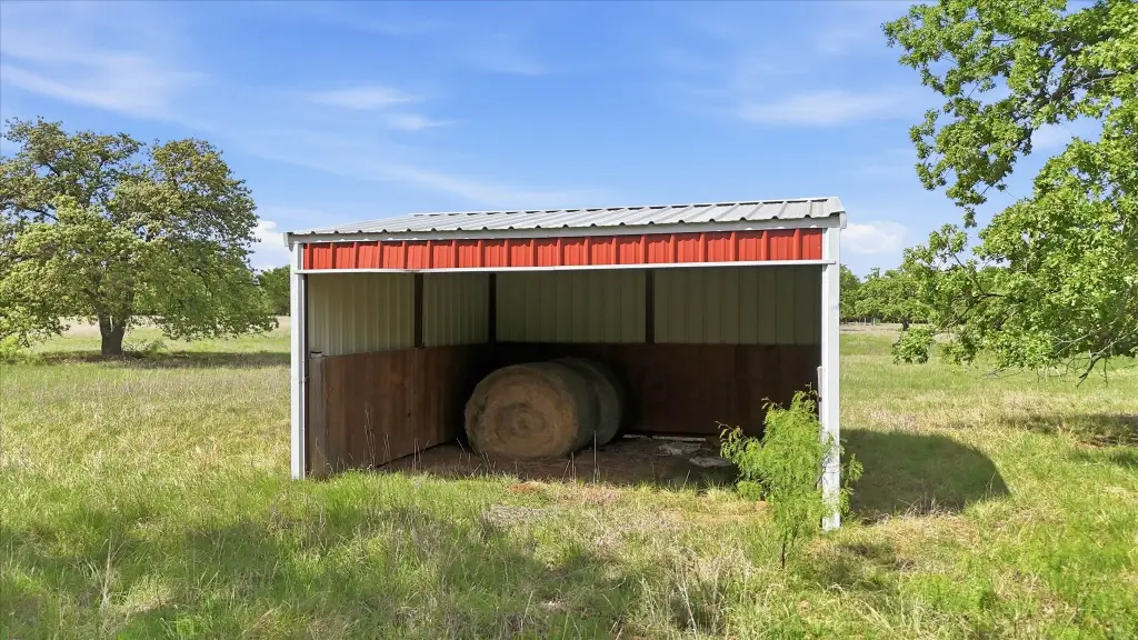 Picture 14