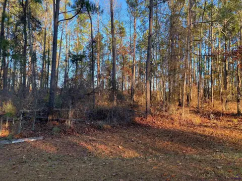 Residential Lot in Butler, GA