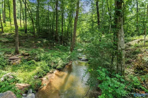 Guntersville Wooded Lots Near Lake