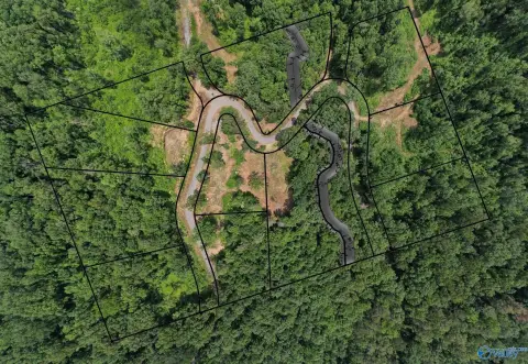 Wooded Lot Near Lake Guntersville