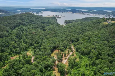 Guntersville Acreage Near Lake