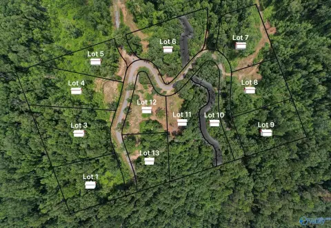 Guntersville Wooded Lots Near Lake