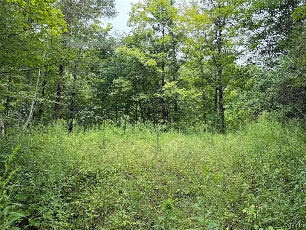 Picture 31