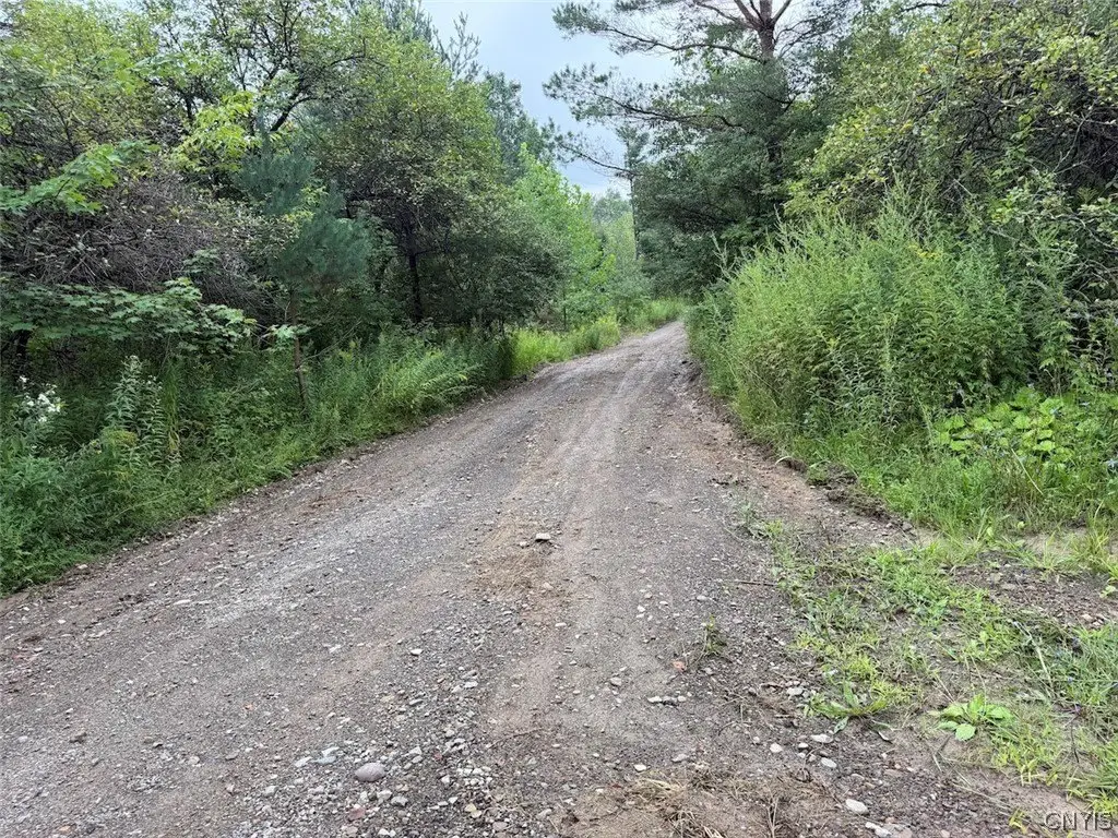 Picture 32