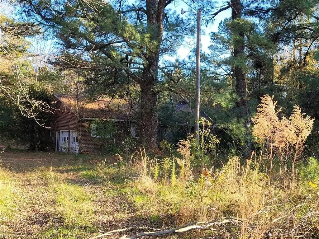 Picture 2