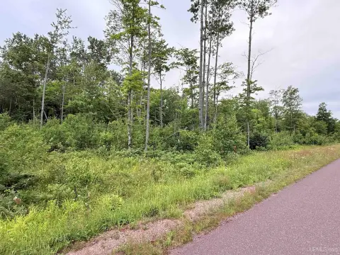 Wooded Acre Building Lot